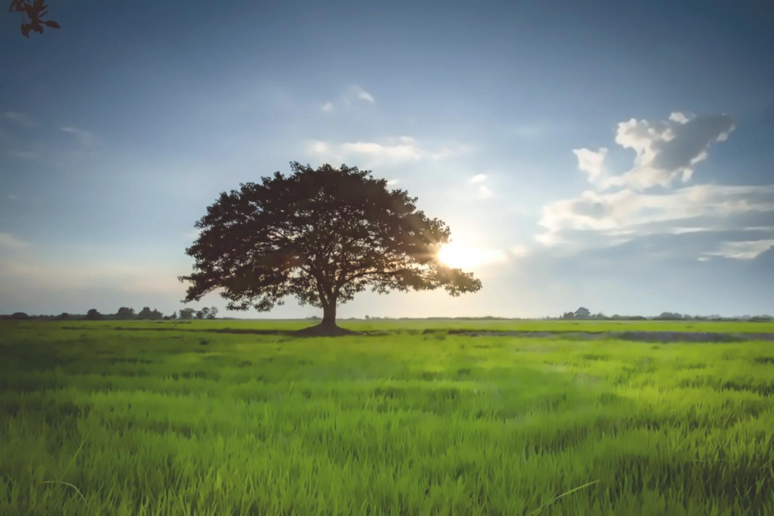 Environmental assessment fieldwork with monitoring equipment in natural habitat